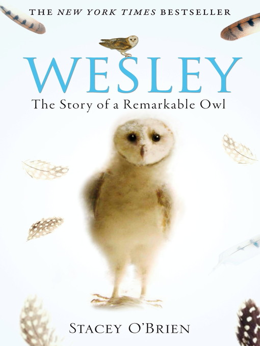 Title details for Wesley by Stacey O'Brien - Available